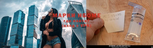 ГАЛЛЮЦИНОГЕННЫЕ ГРИБЫ Белоозёрский