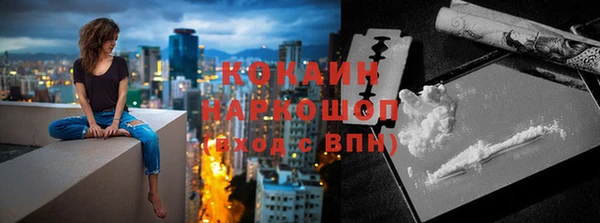 трава Белокуриха