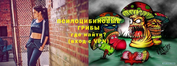 ГАЛЛЮЦИНОГЕННЫЕ ГРИБЫ Белоозёрский