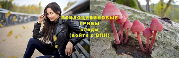 гашиш Богданович