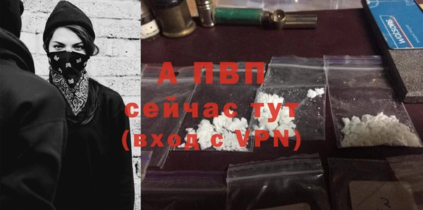ГАЛЛЮЦИНОГЕННЫЕ ГРИБЫ Белоозёрский