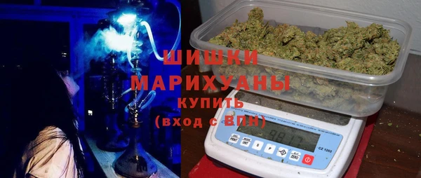 гашиш Богданович