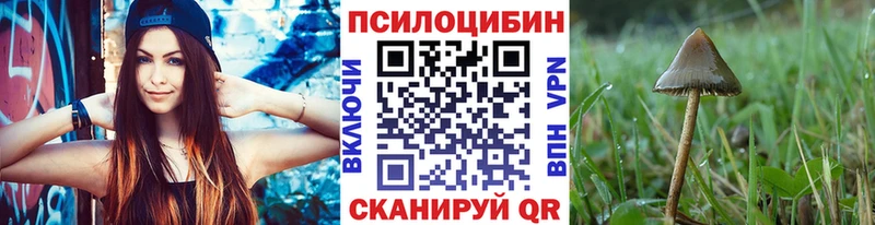 OMG   Буинск  Галлюциногенные грибы GOLDEN TEACHER  даркнет сайт 